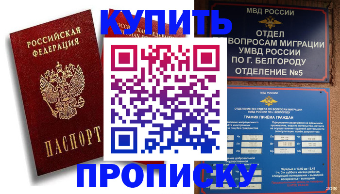 прописка иностранных граждан в Заинске